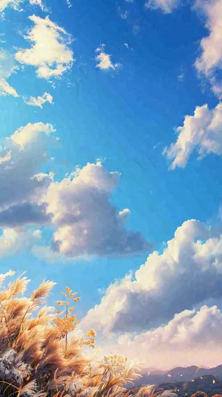 秋天蓝天户外芦苇草，立秋秋分摄影图