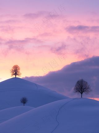 丘陵, 冬天, 日落冷的 雪景 景观 风景 风