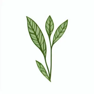 一小枝树叶png免抠