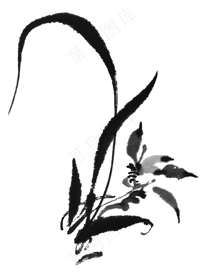 花卉绘画图片素材