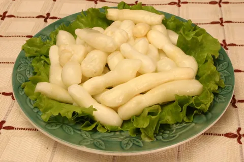0104鸡腿菇sg 0104鸡腿菇sg