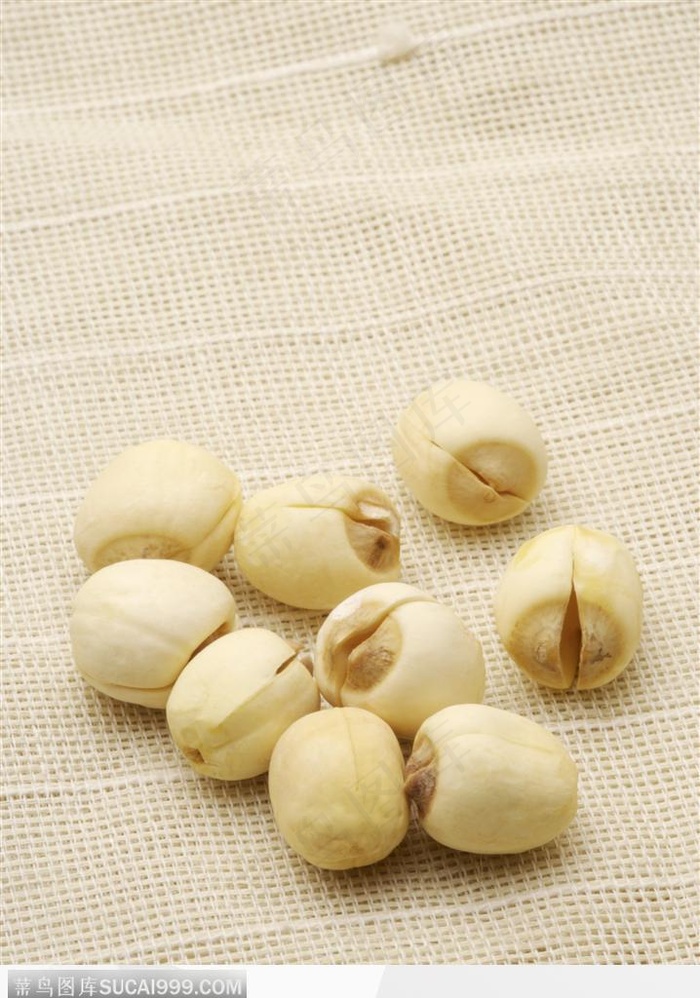 中医医疗-白色的莲子
