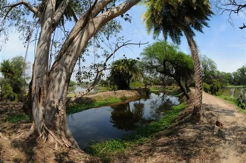 美丽的公园景色大图