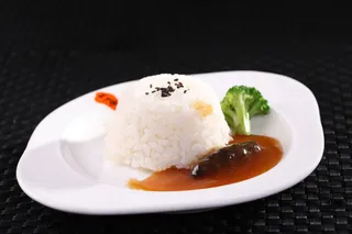 GY00055海参饭 (1)