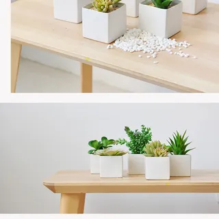 北欧简约绿植盆栽场景(27)