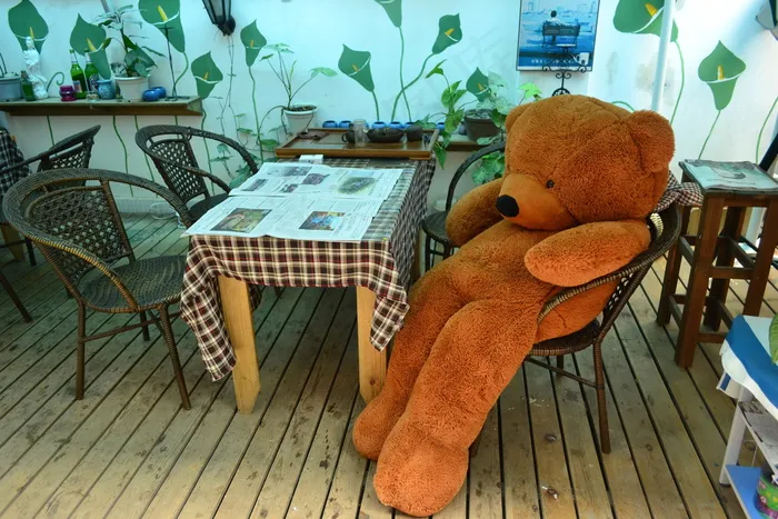 2米泰迪熊图片