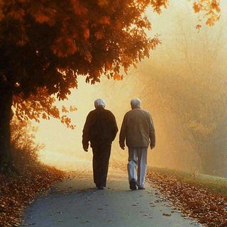 父母年长老人父亲节母亲节温馨落日背影