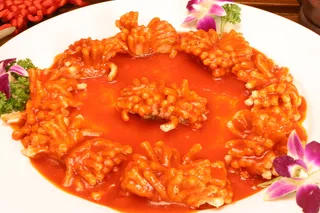 粤菜1523菊花三纹鱼gr