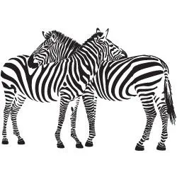 斑马 PNG免抠(250x260)