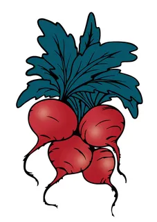 红萝卜，矢量ai图，素材