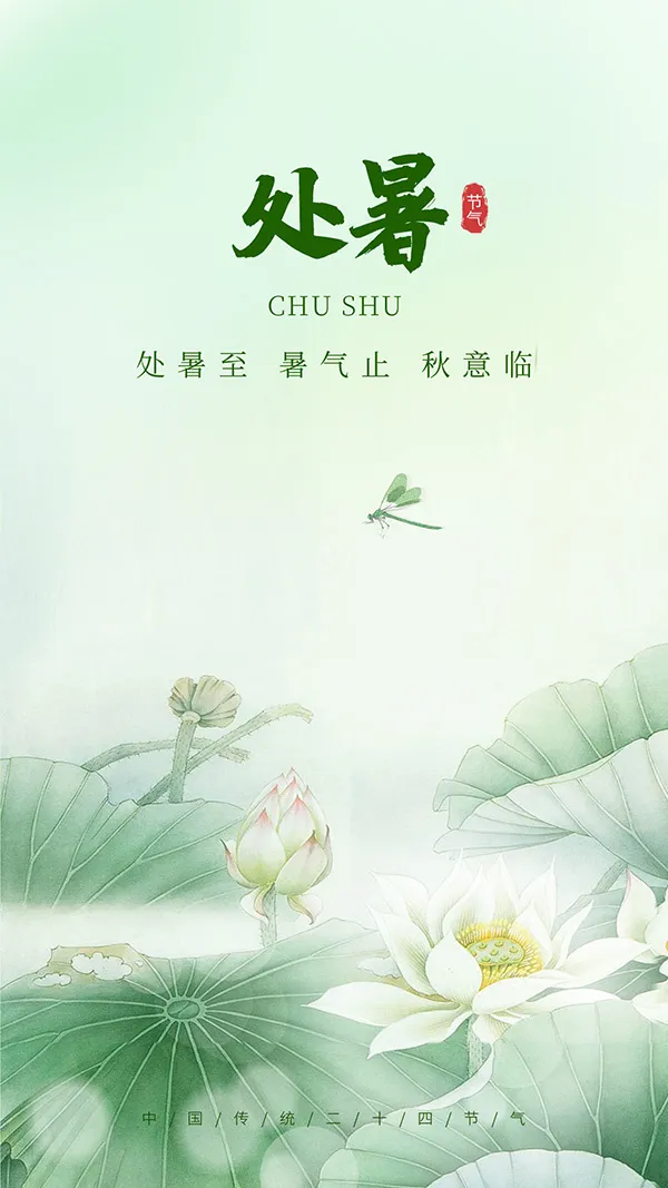 荷叶处暑移动端海报荷花蜻蜓psd模版下载