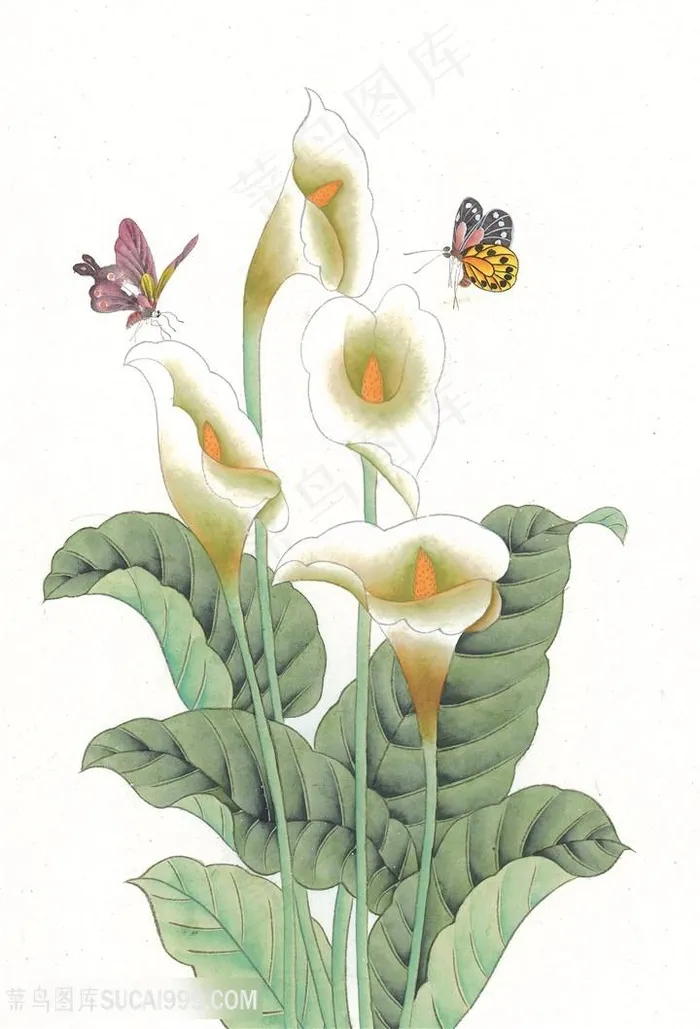 蝴蝶喇叭花高清装饰画