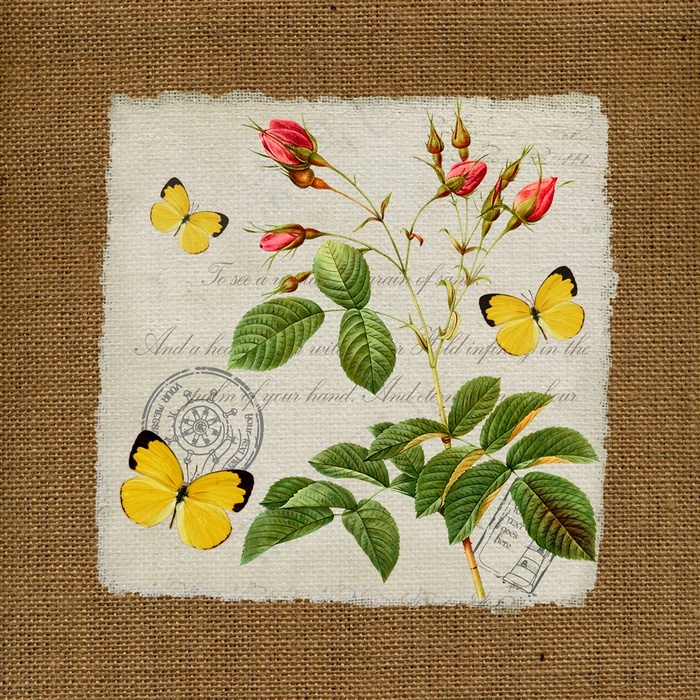 复古植物花卉蝴蝶