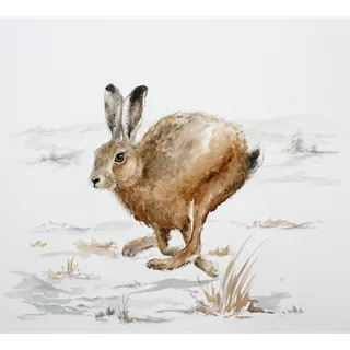 小兔子乡村振兴