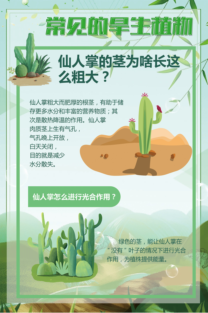 绿色常见的旱生植物psd模版下载