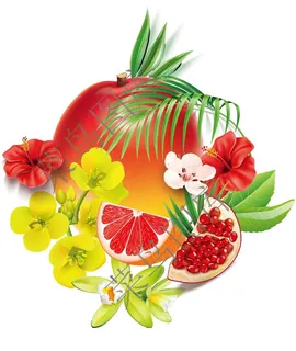 水果花朵高清图