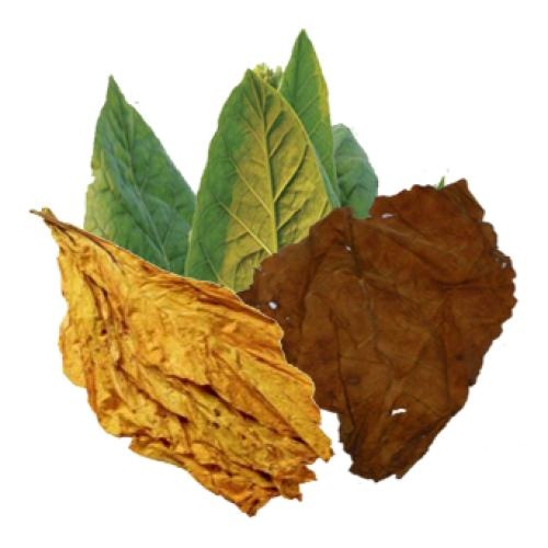 烟草PNG免抠(500x500)