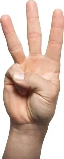 三只手 PNG免抠(1799x4419)