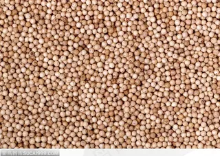 食物背景-胡椒背景