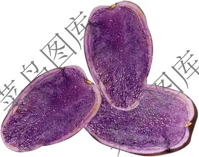 紫薯高清图