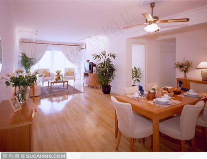 室内装饰-客厅餐厅一体