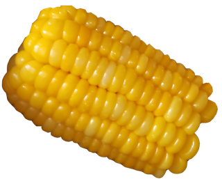 糯玉米水煮玉米免抠实拍摄影元素