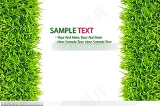 草地背景-竖条的草地背景