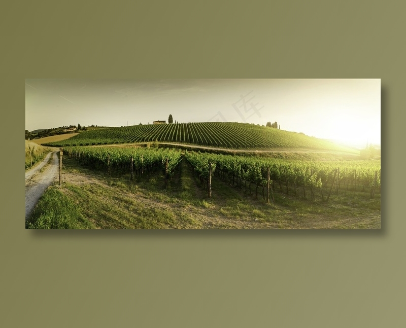 美丽的农场景色