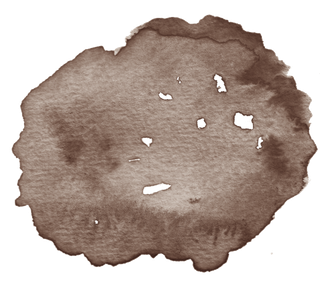 唯美森系手绘水彩花朵 免抠