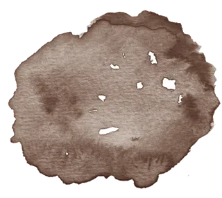 唯美森系手绘水彩花朵 免抠