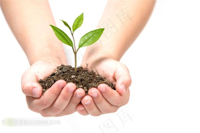 高清手捧泥土树苗摄影素材