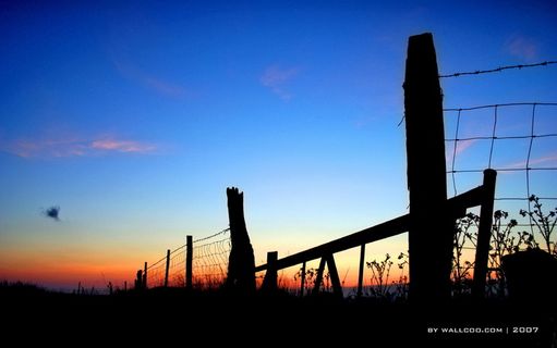 图片素材背景光影艺术