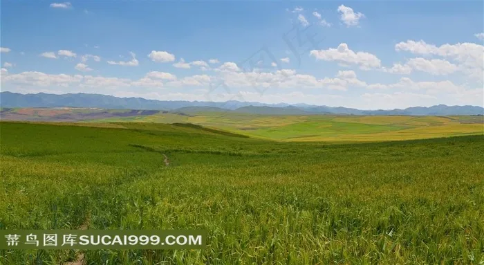 甘肃阿木去乎草原风景摄影图片