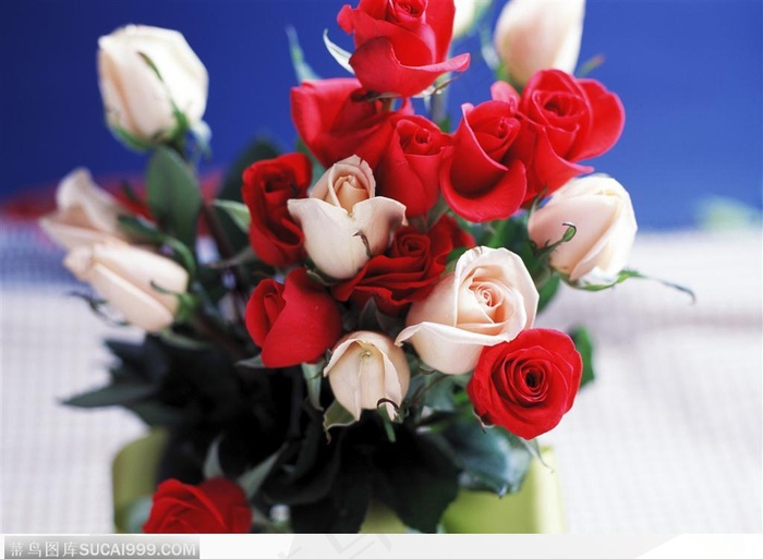 花艺摆设-漂亮的玫瑰花