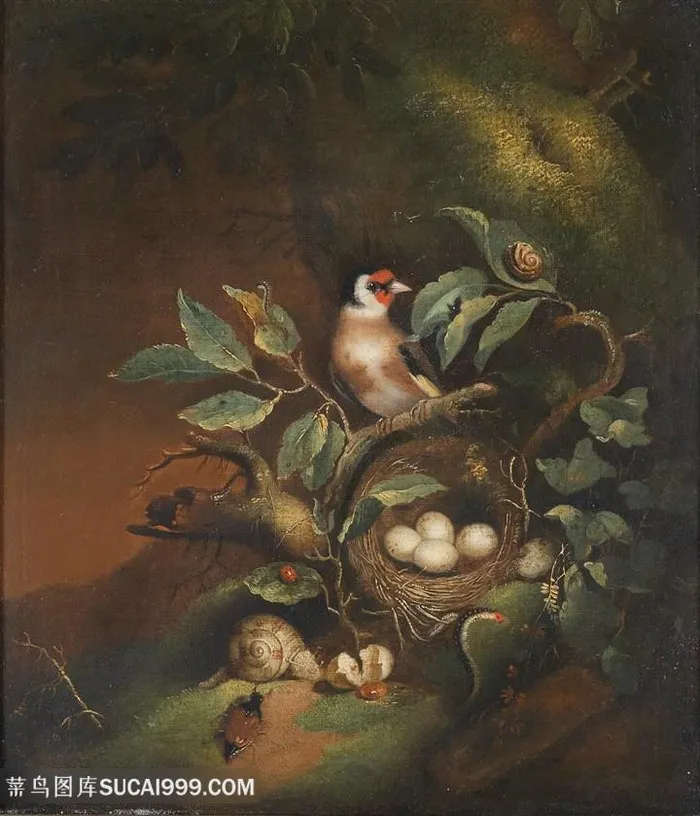 古典树枝鸟巢静物油画
