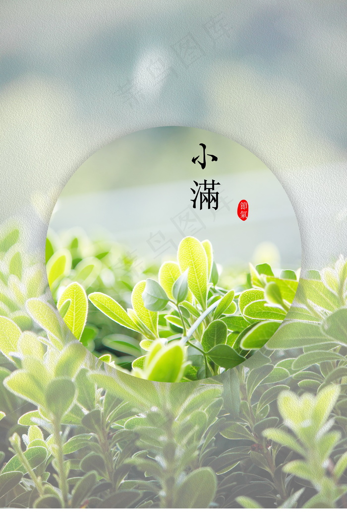 小满节气海报图片