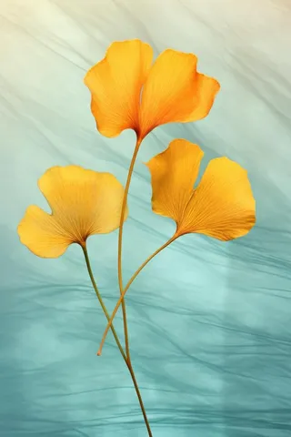 简约大气渐变落叶黄色秋叶背景