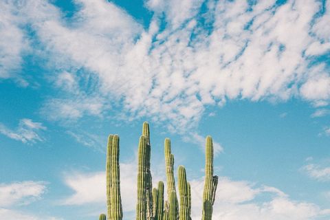 蓝天白云仙人柱风景图片