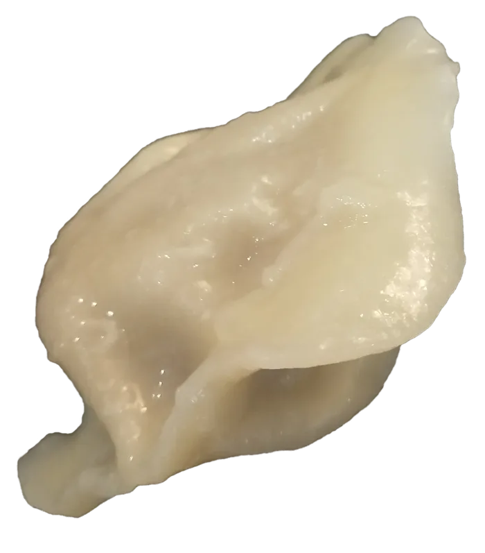 猪肉白菜芹菜水饺蒸饺免抠摄影元素素材