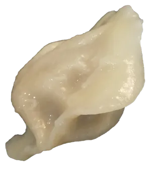 猪肉白菜芹菜水饺蒸饺免抠摄影元素素材