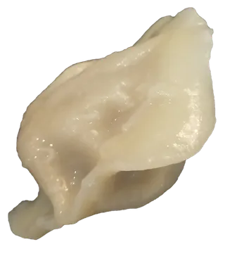 猪肉白菜芹菜水饺蒸饺免抠摄影元素素材