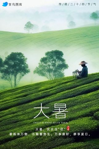 大暑节气茶园风光风景简约海报