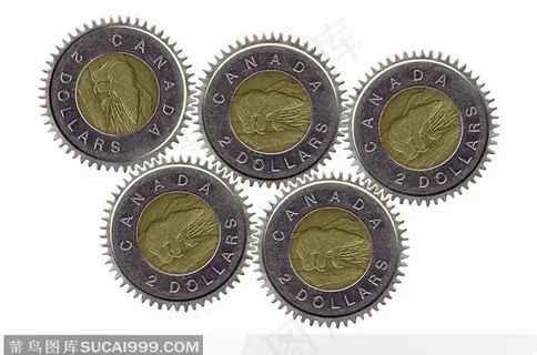 五环状加拿大硬币
