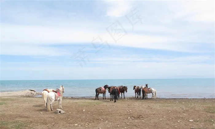 你们在看什么等等我们