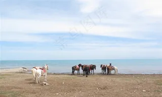 你们在看什么等等我们