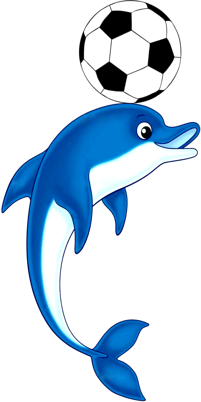 蓝色海豚足球