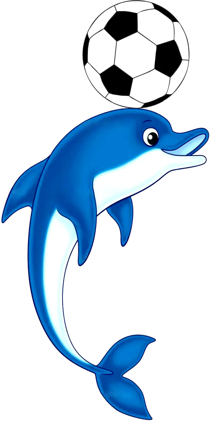 蓝色海豚足球