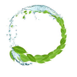 树叶水滴圆形边框