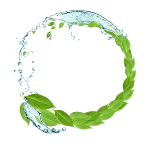 树叶水滴圆形边框