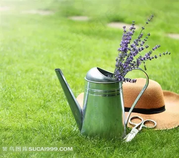 草地上帽子水壶图片家居图片